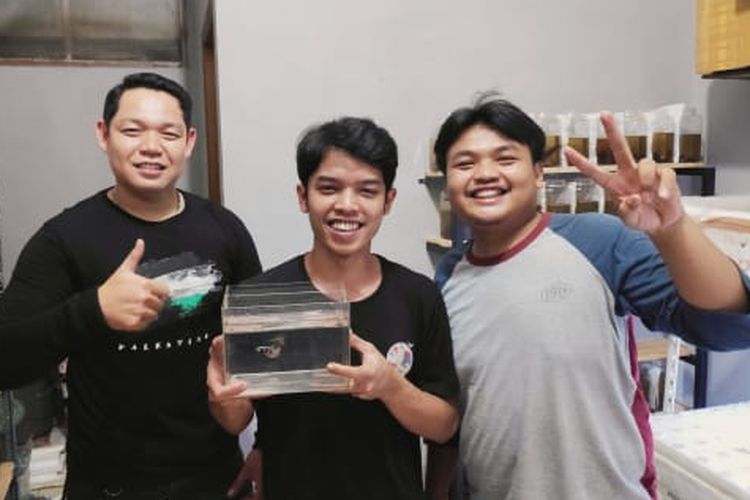 Ogy Mahendra, Diky Indra Lesmana, dan Iwan Setiawan, pemilik usaha ikan cupang Diggy Betta. 
