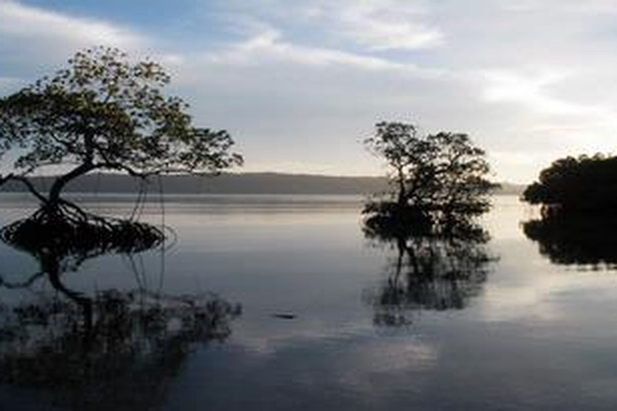 Pemandangan laut pagi hari di Pulau Mansuar, Raja Ampat.