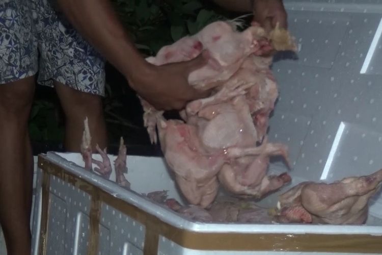 Daging ayam beku untuk penerima bantuan Program Keluarga Harapan (PKH) dan Kartu Keluarga Sejahtera (KKS) ditolak warga Kabupaten Gowa, Sulawesi Selatan ditolak warga lantaran berbau dan tak memenuhi ukuran standar. Jumat, (10/4/2020).