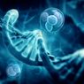 Mengenal Genetika, Cabang Biologi yang Mempelajari Pewarisan Sifat