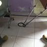 Tiba-tiba Muncul, Ular Kobra 1 Meter Kagetkan Pegawai Klinik Kecantikan di Gresik
