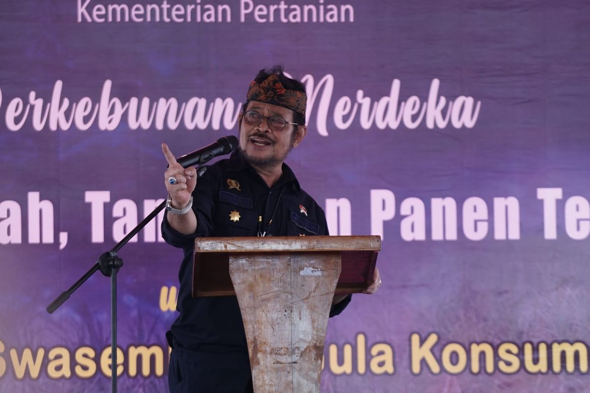 Menteri Pertanian Syahrul Yasin Limpo saat melakukan olah tanah, tanam dan panen tebu di Desa Pasirbungur Kecamatan Purwadadi Kabupaten Subang, Jawa Barat, Jumat (29/7/2022).