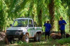 Perusahaan Sawit di Papua Laksanakan Upaya Nol Emisi Karbon
