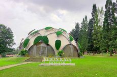 Bisakah Beli Tiket Kebun Raya Bogor Langsung Tanpa Online?