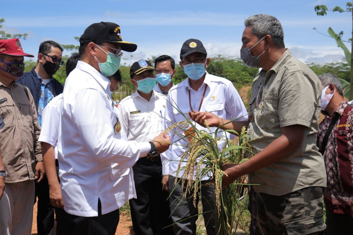 Gubernur Babel Erzaldi Rosman meninjau langsung keberhasilan Tim Tasela, Kamis (22/10/2020).