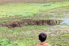 Kolam di Sukabumi Ambles Membentuk Lubang Besar, Ikan Pun Habis