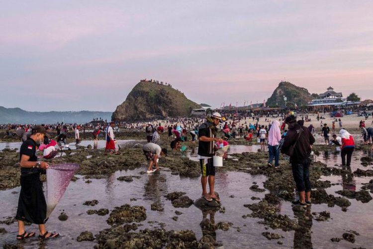 Warga berburu nyale di Pantai Seger, Llombok Tengah, NTB, dalam Festival Pesona Bau Nyale 2020. 