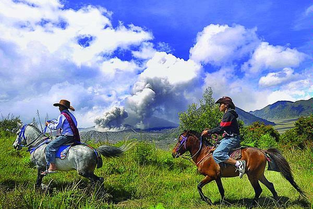 Salah satu dampak letusan Gunung Bromo dirasakan oleh para pemilik kuda yang biasanya menyewakan kuda untuk para wisatawan Bromo di Desa Ngadisari, Kecamatan Sukapura, Kabupaten Probolinggo, Jawa Timur, Minggu (28/11). Jika ramai wisatawan, seorang joki mampu memperoleh pendapatan hingga Rp 200.000. Namun, kini pendapatan mereka jauh berkurang.