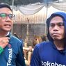 Keluh Kesah Pedagang dan Peternak Sapi Bali, Ongkos Kirim dan Perizinan Lebih Besar dari Perawatan