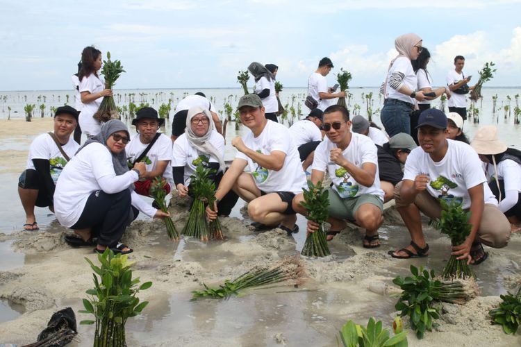 PT Asuransi Maximus Graha Persada Tbk menanam 10.000 bibit mangrove di Pulau Pari, Kepulauan Seribu Selatan.
