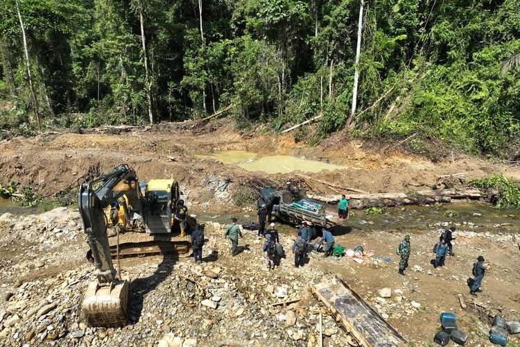 Tambang Emas Ilegal Rusak 1 Hektare Hutan Produksi di Sulteng