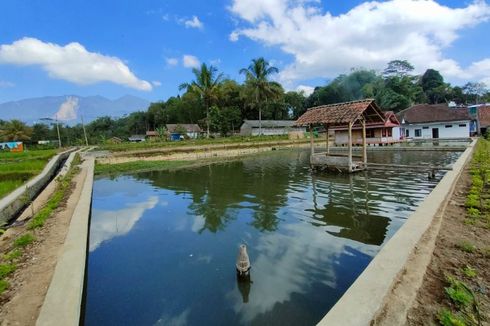 Melihat Cara Desa Indrajaya Mengembangkan Kampung Wisata Empang dengan BRImo, QRIS, dan AgenBRILink