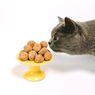 5 Penyebab Kucing Mogok Makan