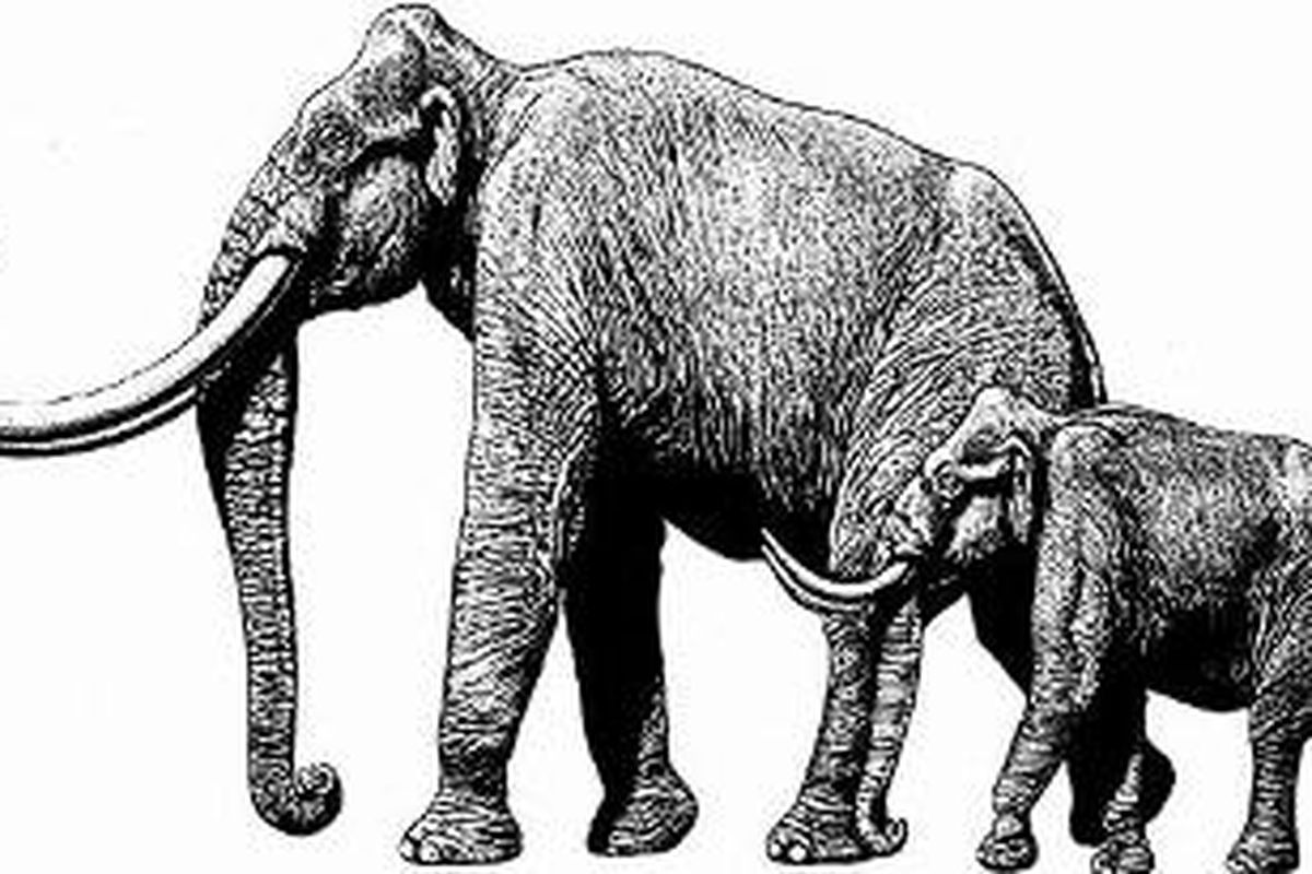 Mammoth