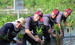 Peduli Lingkungan, Untar Tanam 650 Bibit Mangrove dan Bersihkan Sampah Pantai Tanjung Pasir