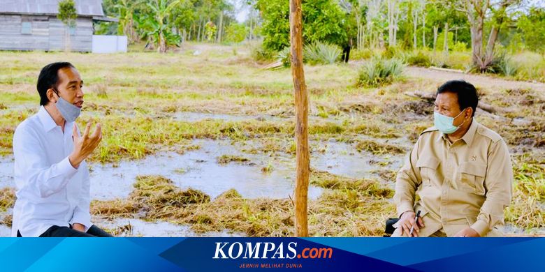 Mengenal Food Estate Program Pemerintah Yang Disebut Dapat Meningkatkan Ketahanan Pangan Halaman All Kompas Com
