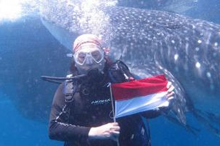 Penyelam bersama hiu paus (whale shark) di Teluk Cendrawasih, Papua Barat, Senin (17/8/2015).