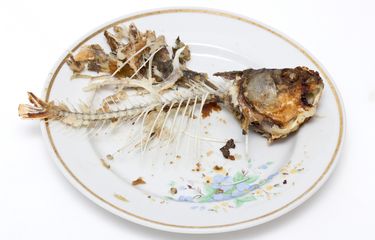 Ilustrasi duri ikan