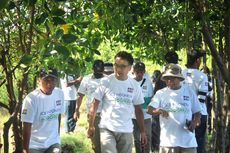JCB dan OISCA Lanjutkan Program Penghijauan dan Pembaharuan Mangrove