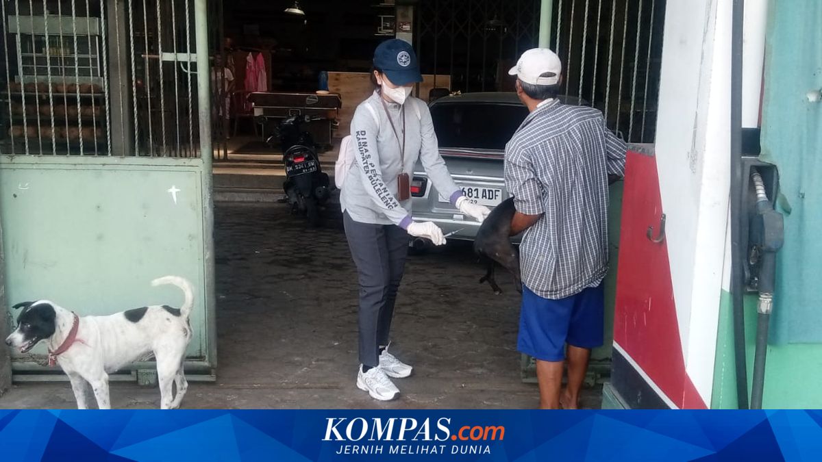 1.890 Kasus Gigitan Anjing Terjadi di Buleleng, Vaksinasi Rabies Baru 23 Persen