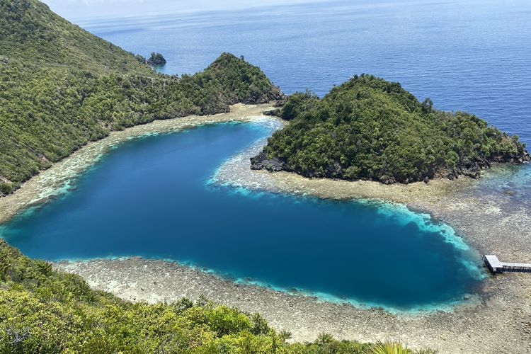 Danau Cinta (Love Lake) tampak dari puncak bukit di Pulau Karawapop, Raja Ampat, Papua Barat Daya, Sabtu (21/10/2023).