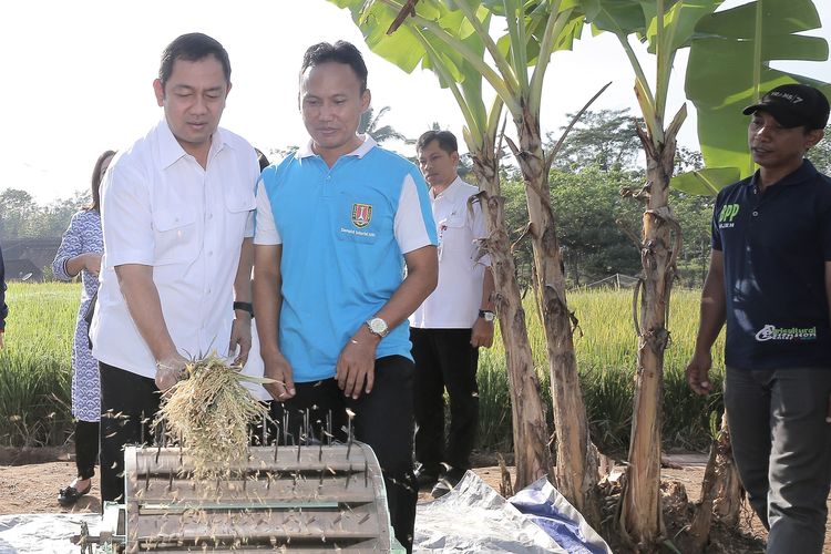 Wali Kota Semarang Hendrar Prihadi hadir dalam perayaan panen yang digelar di Pendopo Agro Purwomukti, Kecamatan Mijen, Semarang, Jawa Tengah.