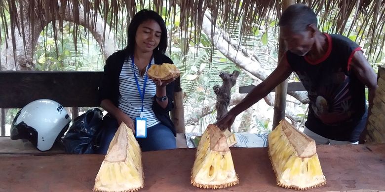 Foto : Sebastianus Raong, salah satu penjual nangka di Desa Blatatin, Kecamatan Kangae, Kabupaten Sikka, Flores, NTT, Kamis (21/11/2019).