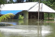 Tanggul Sungai Rongkong Jebol, Desa di Luwu Utara Ini Sudah 8 Hari Terendam Banjir