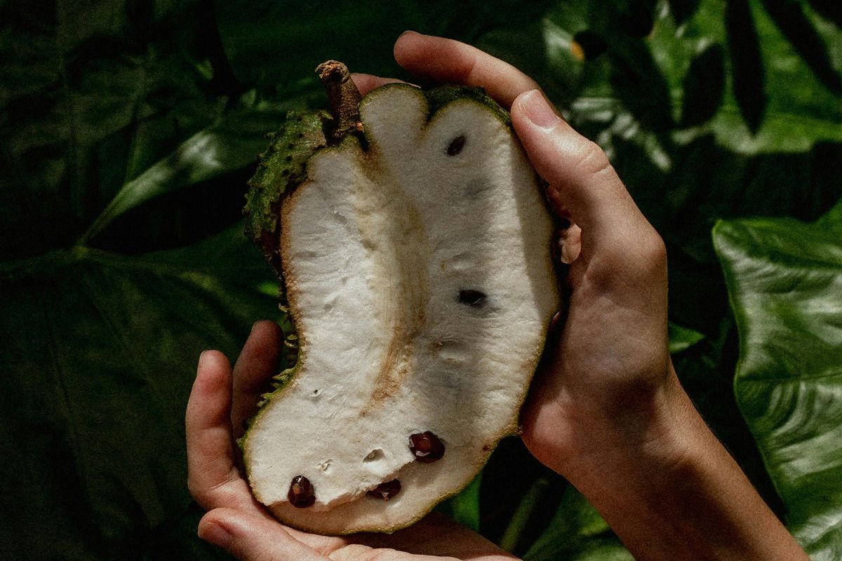 Macam-macam khasiat buah sirsak untuk tubuh