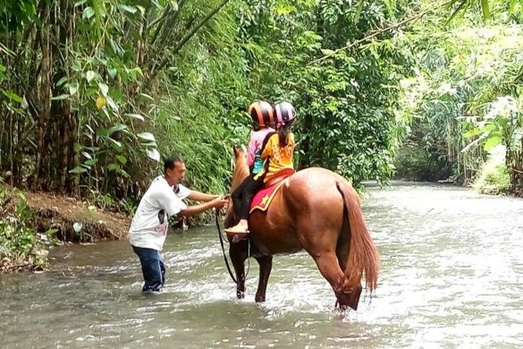 Dua anak menikmati menunggang kuda menyusuri sungai di Sleman, DI Yogyakarta, Minggu (26/2/2017).
