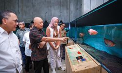 KemenKopUKM dan BRIN Jajaki Kerja Sama Komersialisasi Hasil Riset Pengembangan UMKM