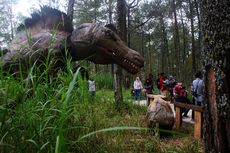 Di Mojosemi Magetan, Kamu seperti Lihat Dinosaurus di Habitat Aslinya