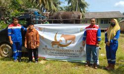 Elnusa Petrofin Salurkan 4.800 Paket Hewan Kurban untuk Penerima Manfaat di Seluruh Indonesia 