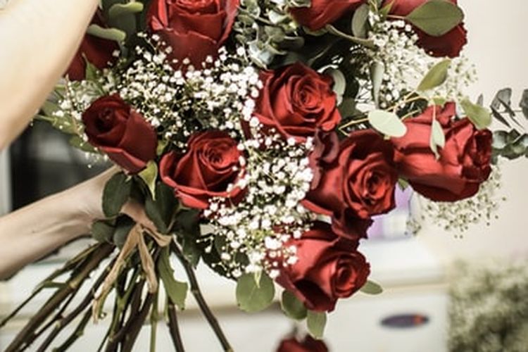 Ilustrasi mawar, ilustrasi bunga mawar, ilustrasi buket bunga mawar