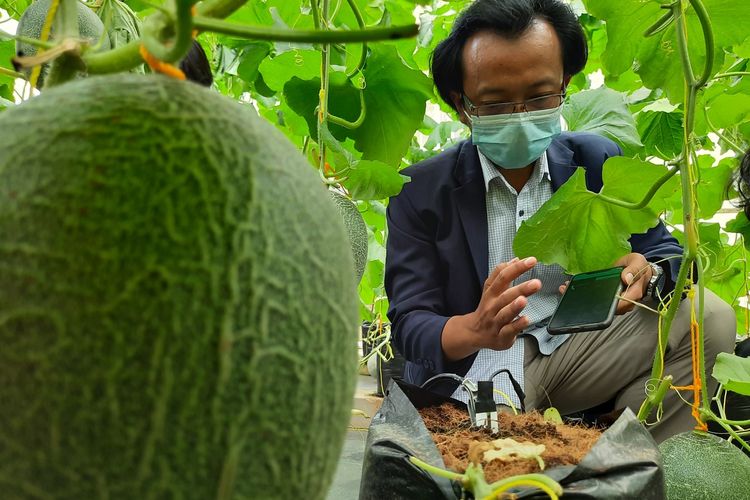 Eka Maulana, salah satu dosen di Universitas Brawijaya saat menunjukkan Internet of Things berupa drip irrigation system untuk budidaya tanaman melon di Kebun Melon Agro Techno Park UB di Jatikerto, Kabupaten Malang, Kamis (21/10/2021).