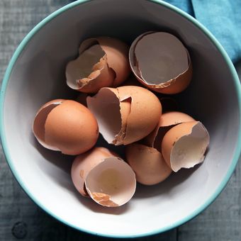 Cangkang telur untuk pupuk alami
