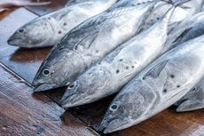 4 Pilihan Ikan Tinggi Seng, Bantu Cegah Infeksi Penyakit