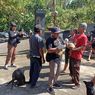 Usai Kasus Anjing Rabies Gigit 15 Pendaki, 493 Anjing Divaksin Massal di Tabanan Bali