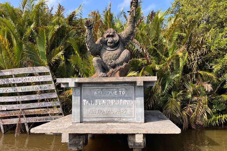 Rute ke Taman Nasional Tanjung Puting di Kalimantan Tengah dari Jakarta