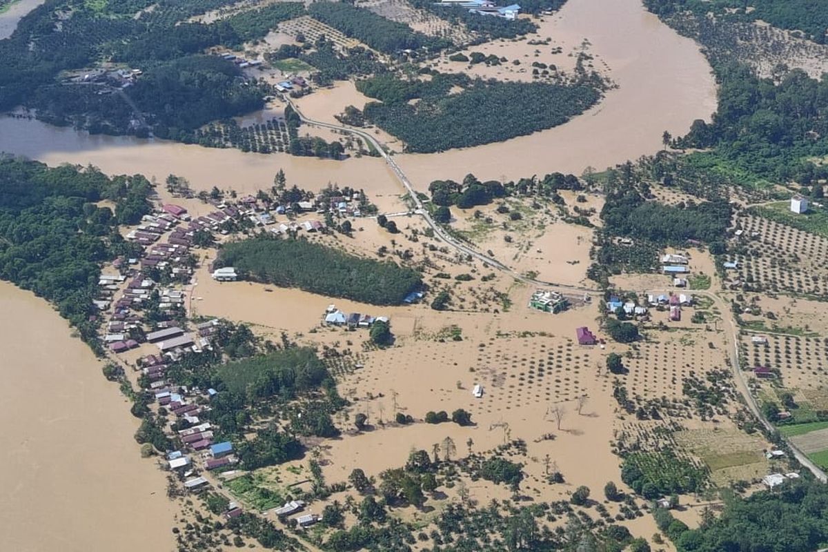Kemunculan Buaya di Berau Meningkat Usai Banjir, Kenali Tanda Adanya Buaya