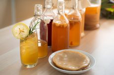 3 Cara Merawat Scoby Kombucha yang Benar, Tips dari Penjual