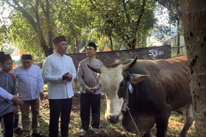 Wamentan: Indonesia Surplus Hewan Kurban 800.000 Ekor 