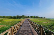 Harga Tiket dan Jam Buka Jembatan Kayu Waduk Cengklik