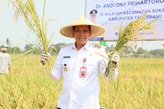 Pj Bupati Tangerang Gelar Panen Raya Padi bersama Petani