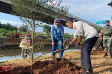 Heru Budi Tanam Pohon Ketapang Kencana di Kali Malang Jakarta Timur