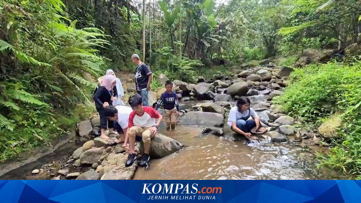Dari Bekas Tambang Jadi Ruang Konservasi, Lembah Suhita di Bandar Lampung Tawarkan Wisata Edukasi Alam