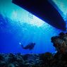 3 Spot Diving di Laut Merah, Menyelam di Antara Bangkai Kapal Kuno