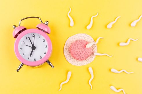 Apakah Sperma yang Sudah Kering Bisa Membuat Hamil?