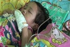 Wabah DBD Merebak, Sebanyak 21 Anak Dilarikan ke Rumah Sakit