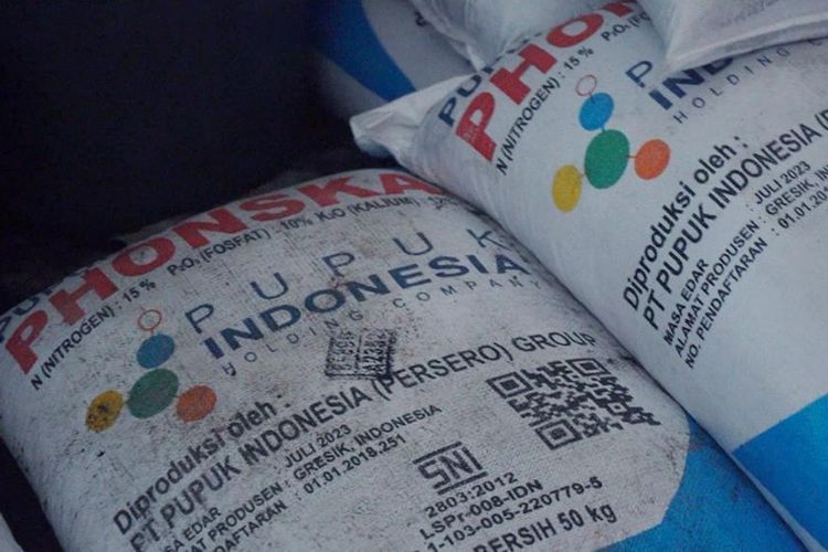 Keluh Kesah Petani di Manggarai Barat, Susah Dapat Pupuk Subsidi karena Sulitnya Akses dan Prosedur Rumit